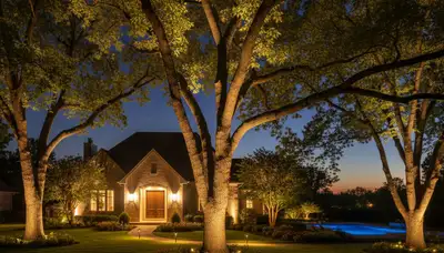 Dramatic tree uplighting showcases professional landscape lighting design in Memphis, TN at night