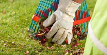 small front yard landscaping